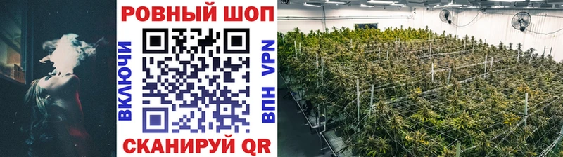 Где купить наркотики Мытищи Alpha PVP  МАРИХУАНА  Меф  ГАШ 