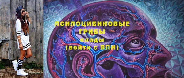 МДПВ Алзамай