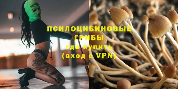 МДПВ Алзамай