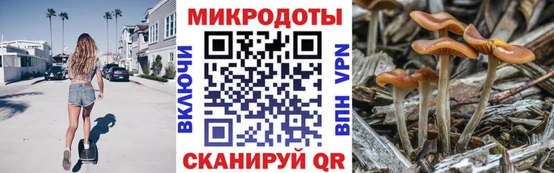 Псилоцибиновые грибы мицелий  Мытищи 